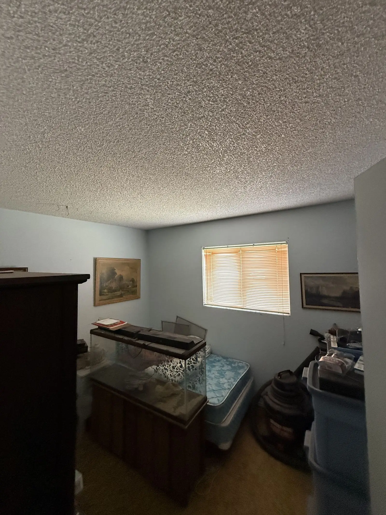 857-n-95th-pl-mesa-az-85207-5