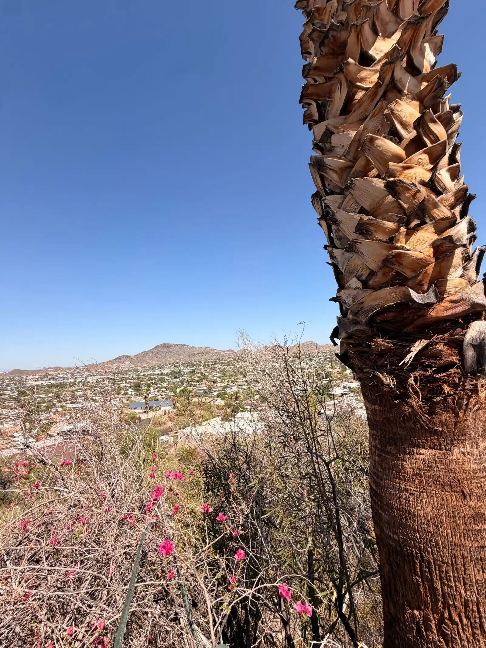 1702-e-eva-st-phoenix-az-85020-22