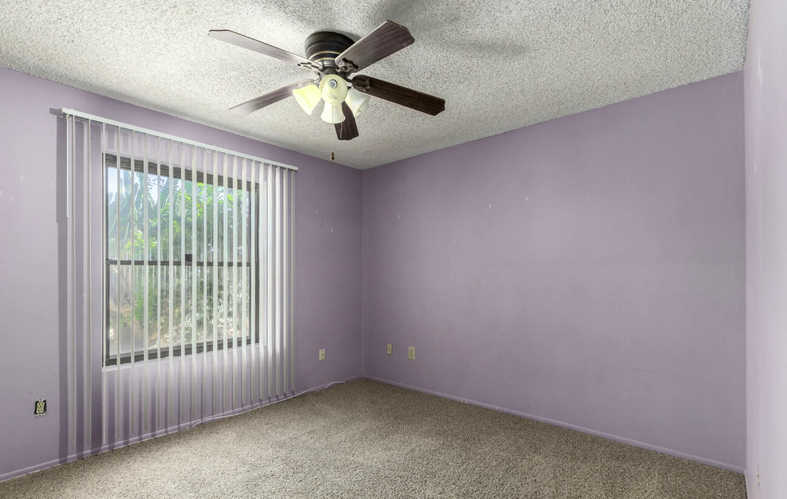 photo-16