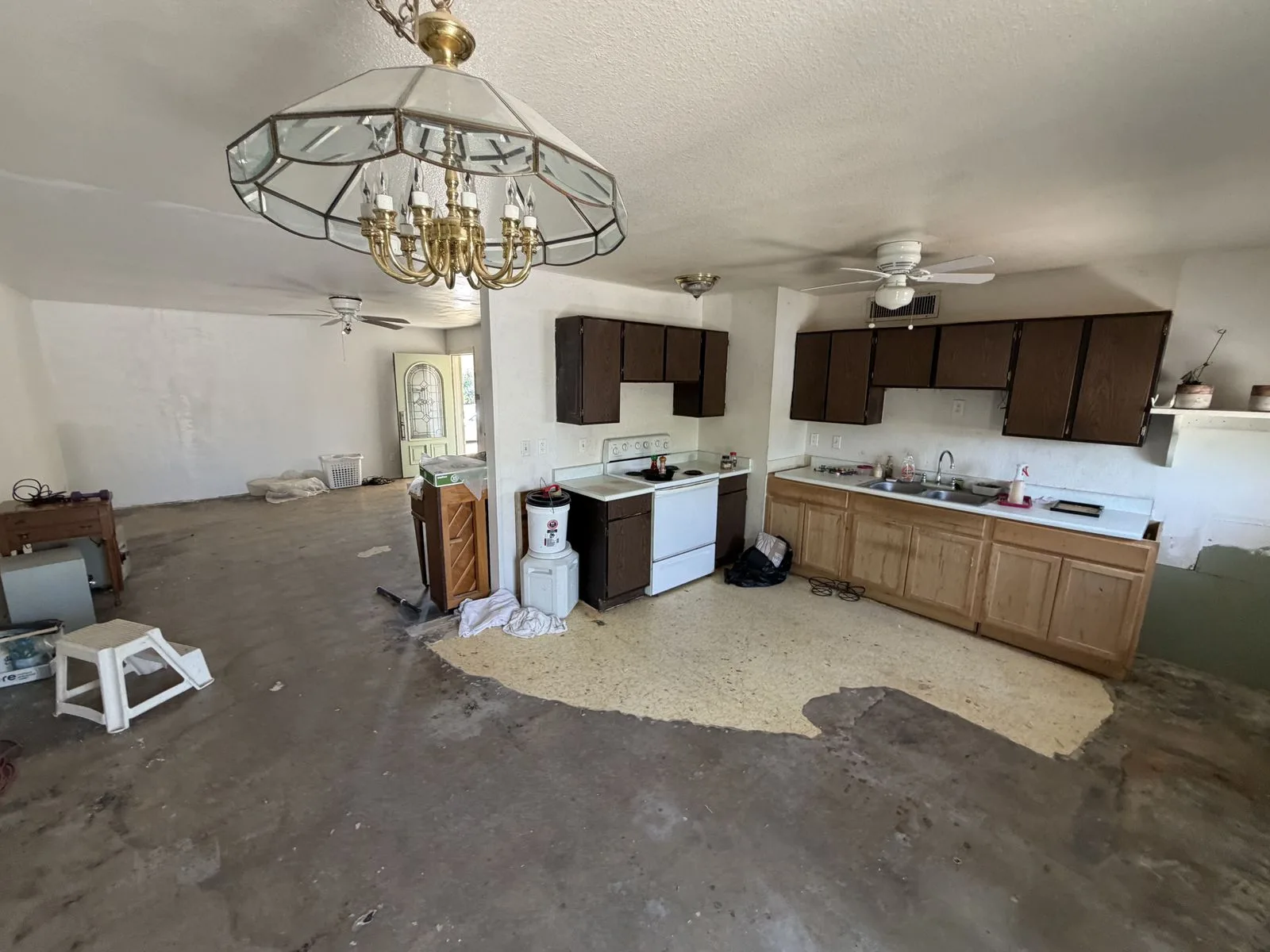 IMG_0049