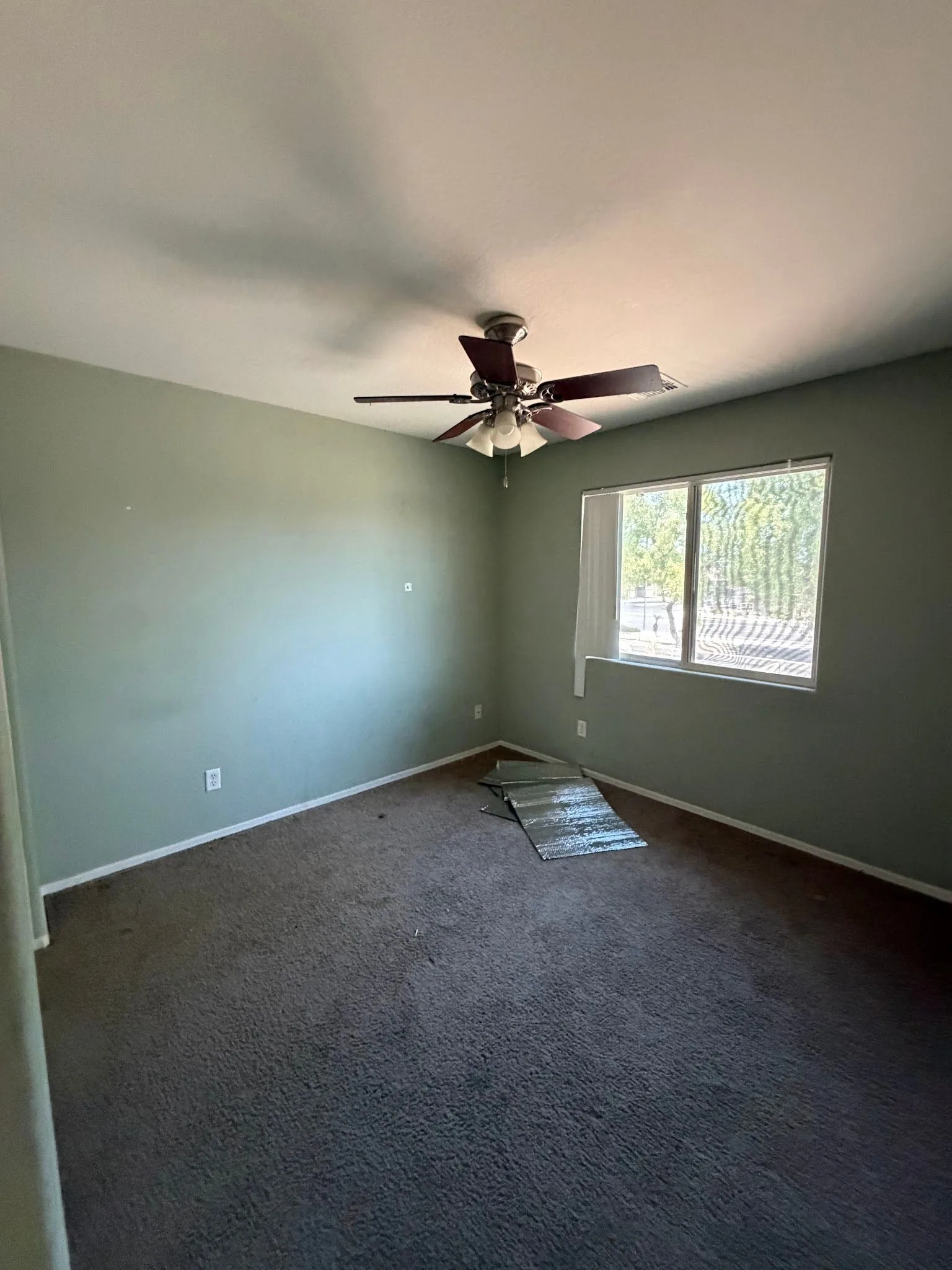 photo-19