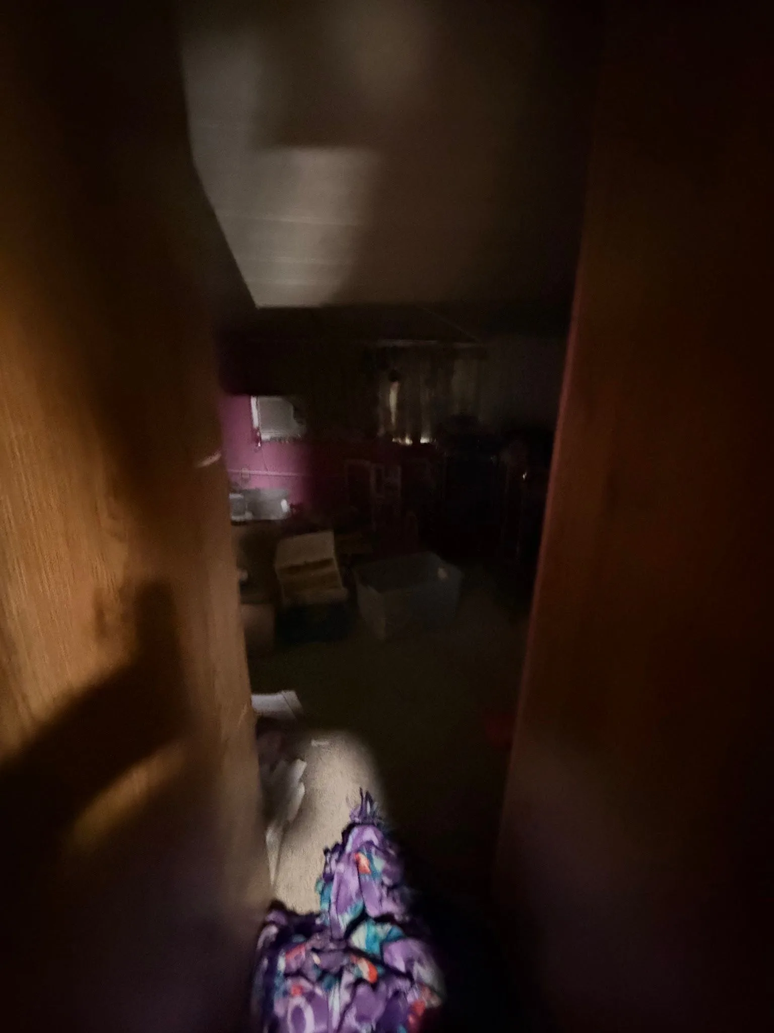 photo-45