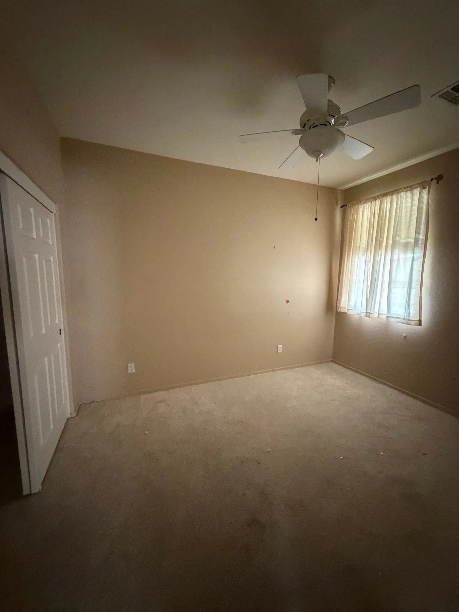 photo-19