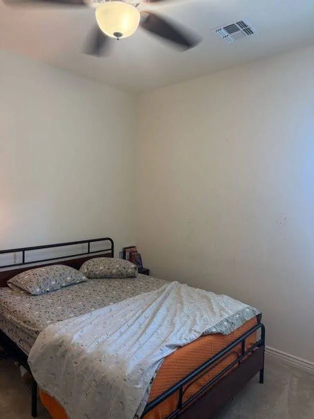 photo-38