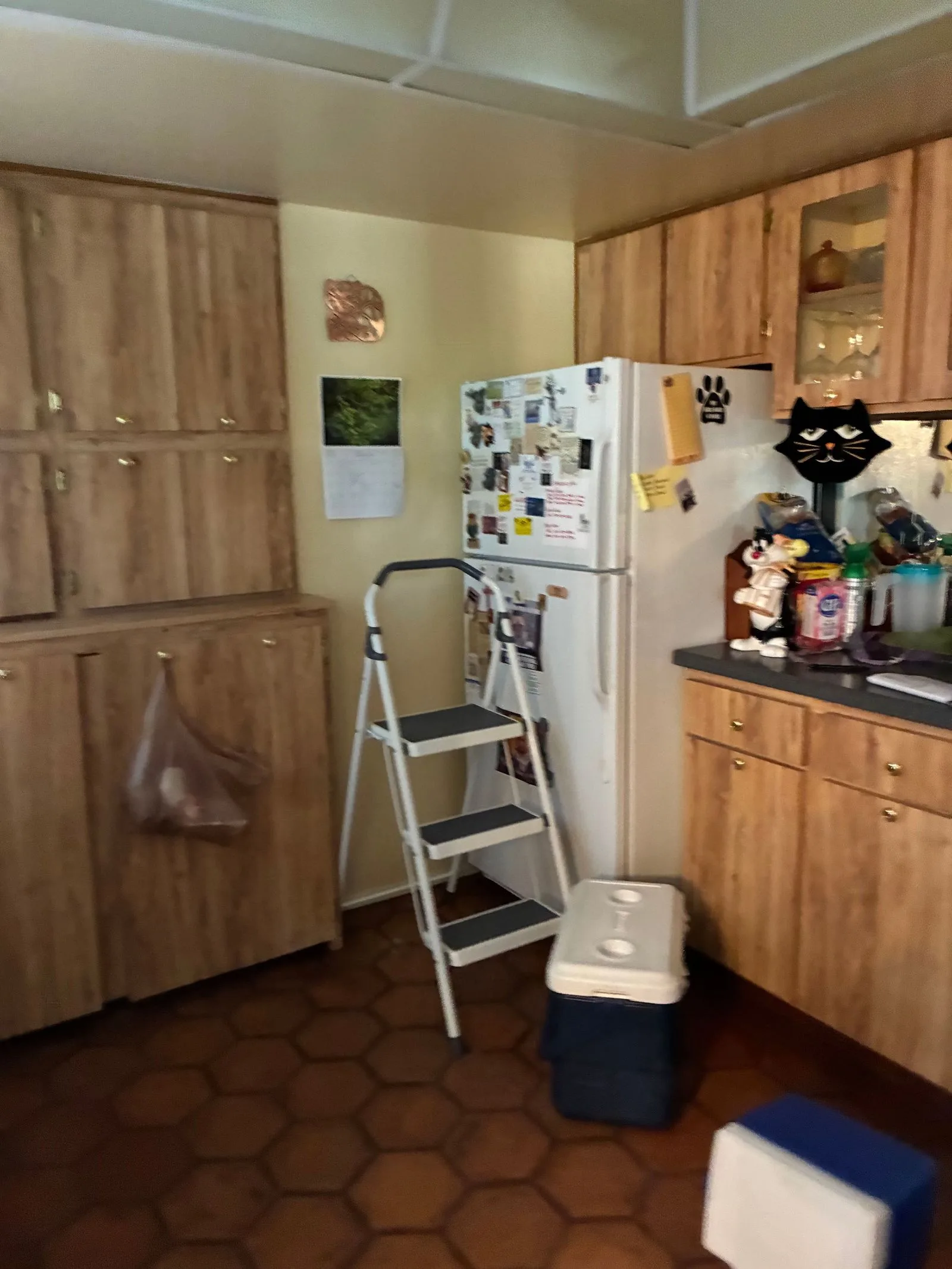 4201-e-camelback-rd-unit-47-phoenix-az-85018-11