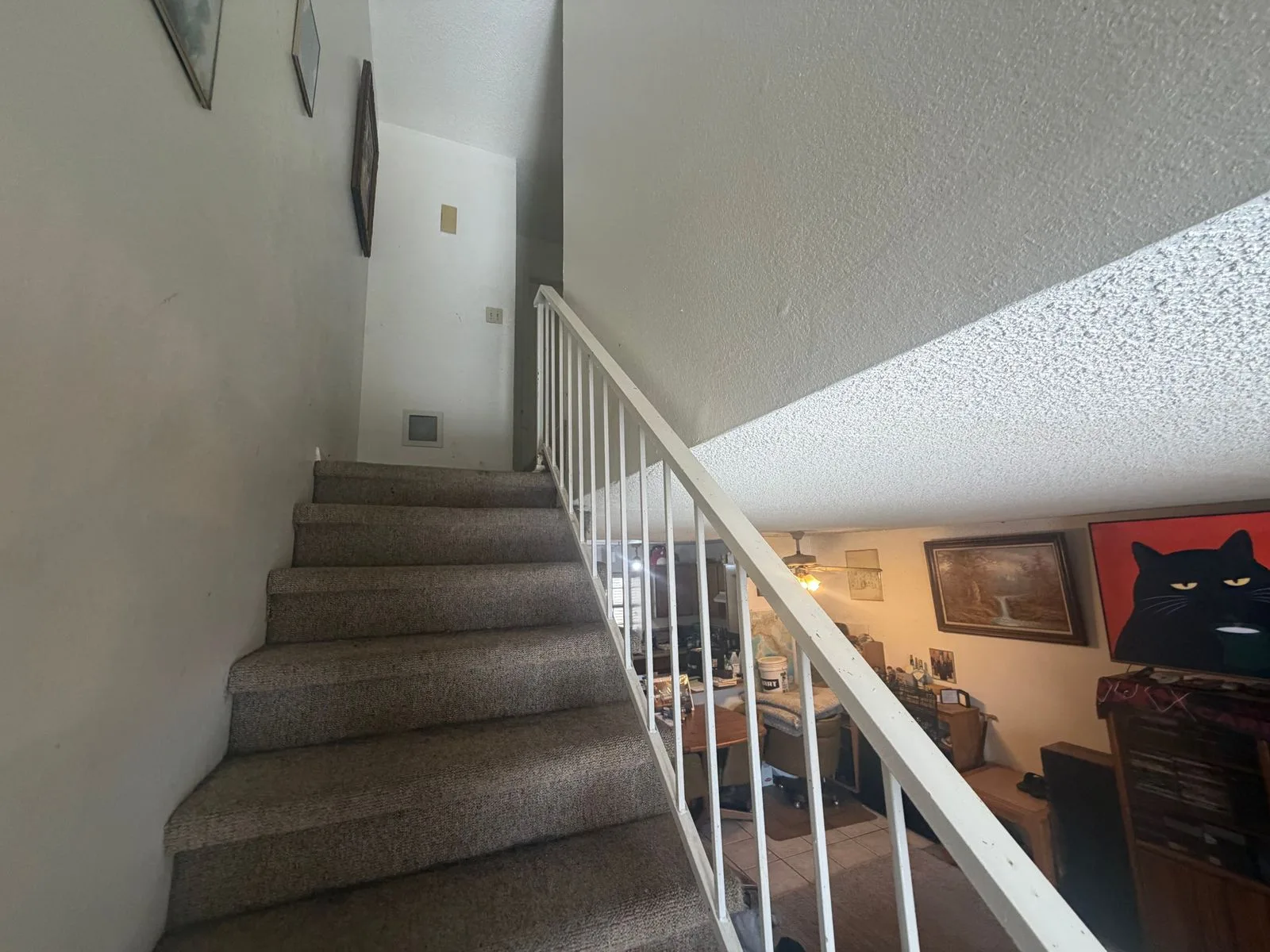 Photo Aug 13 2026, 10 40 34 AM