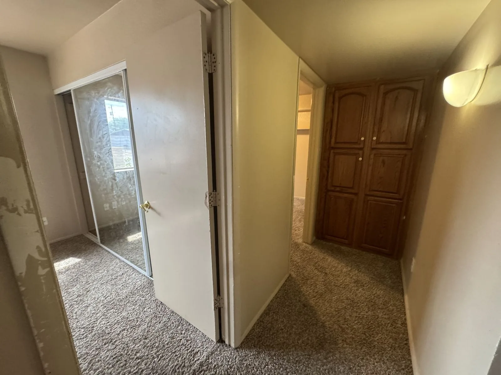 IMG_1235