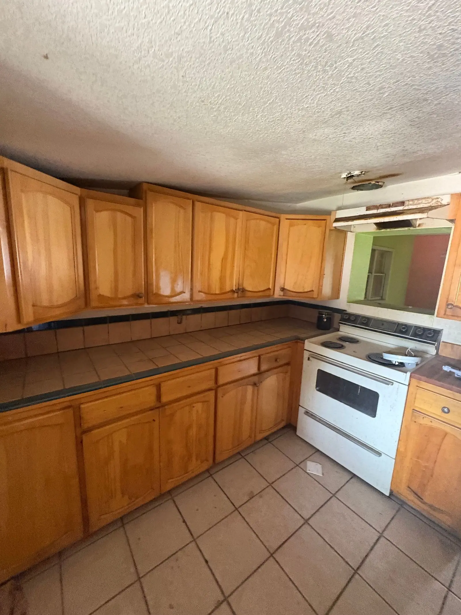 Photo Aug 12 2026, 1 01 08 PM