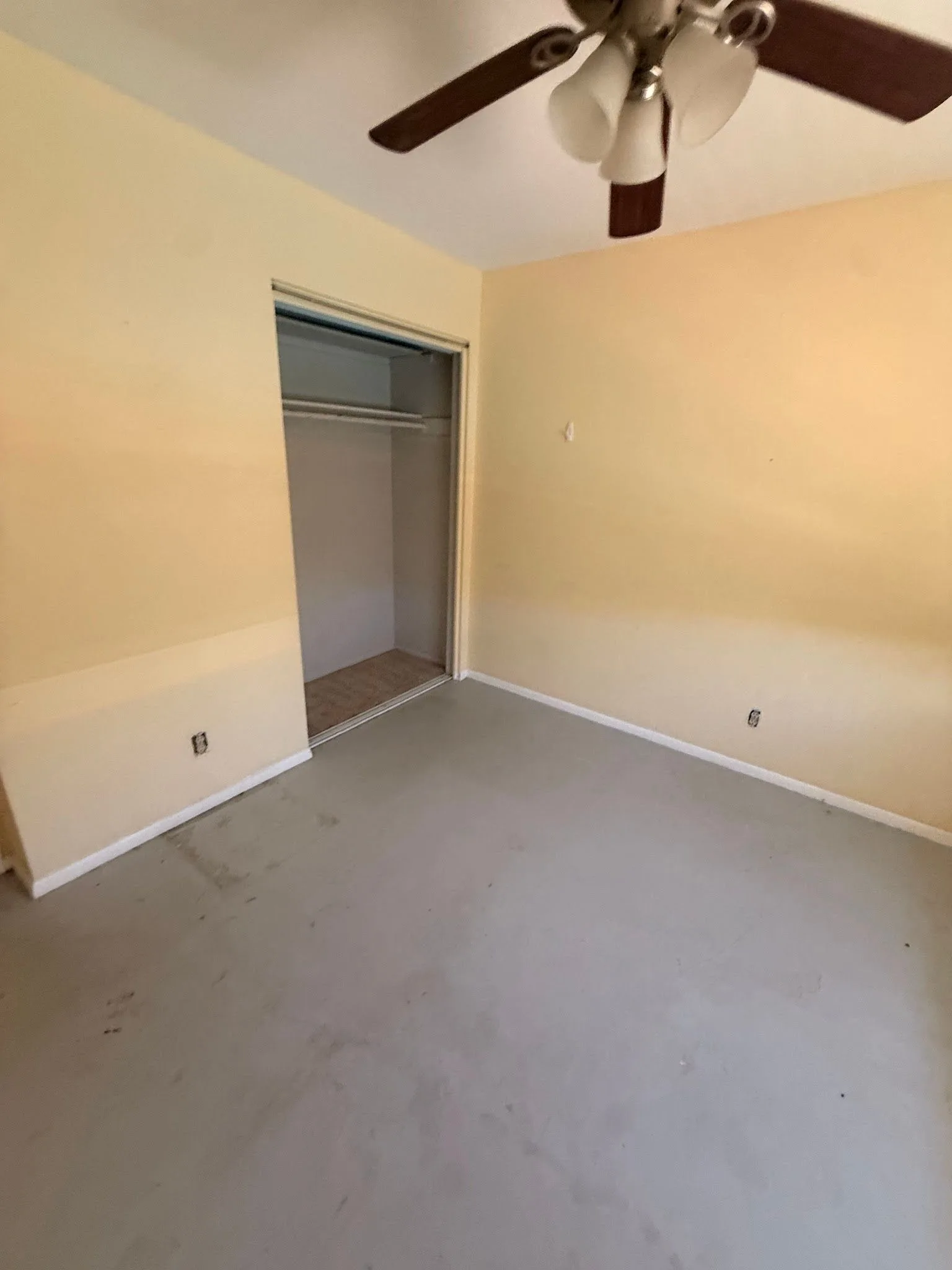 photo-16