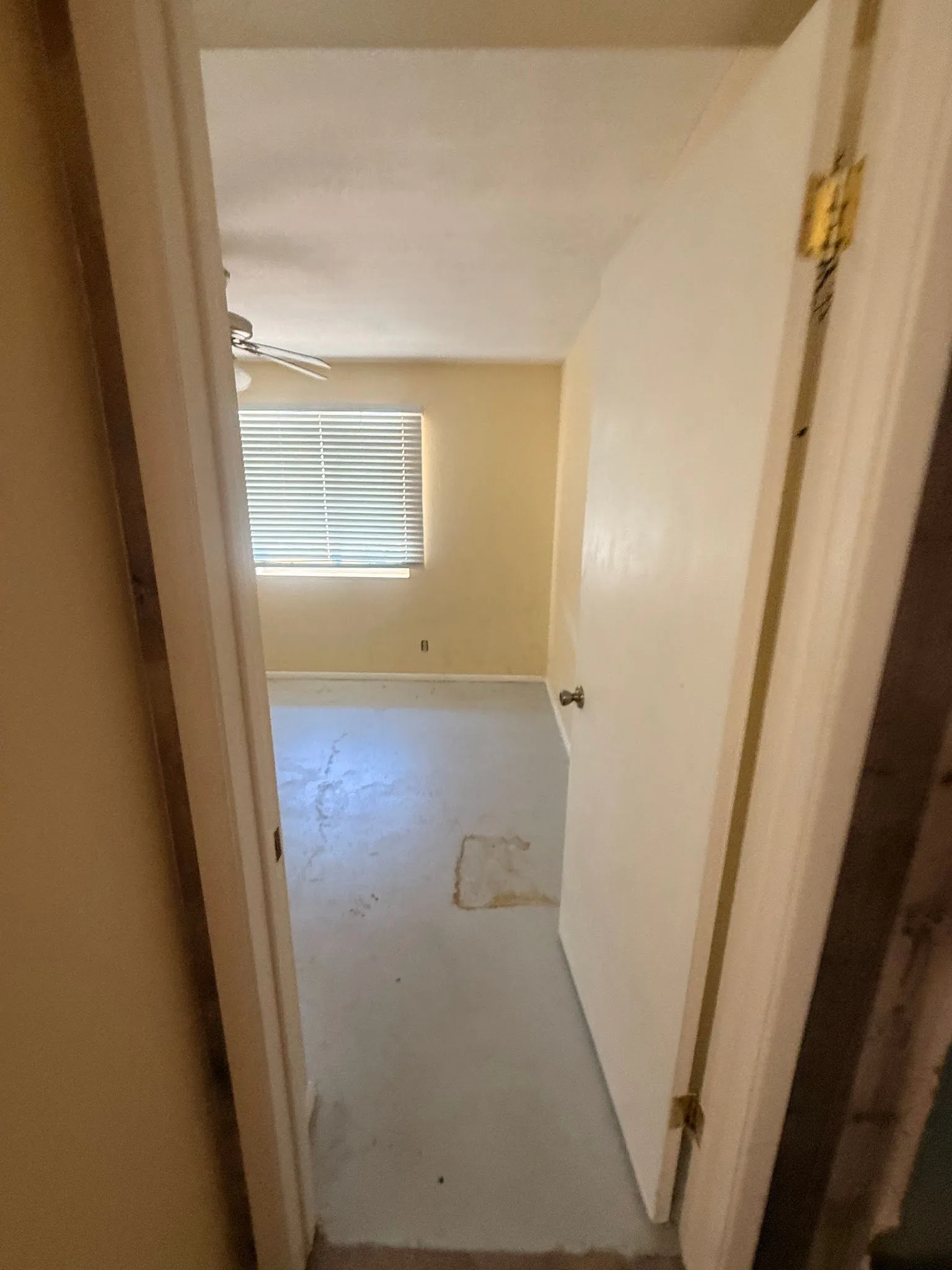 photo-14