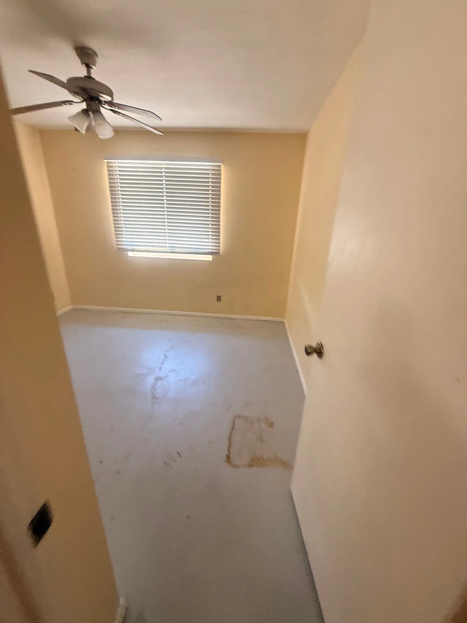 photo-15