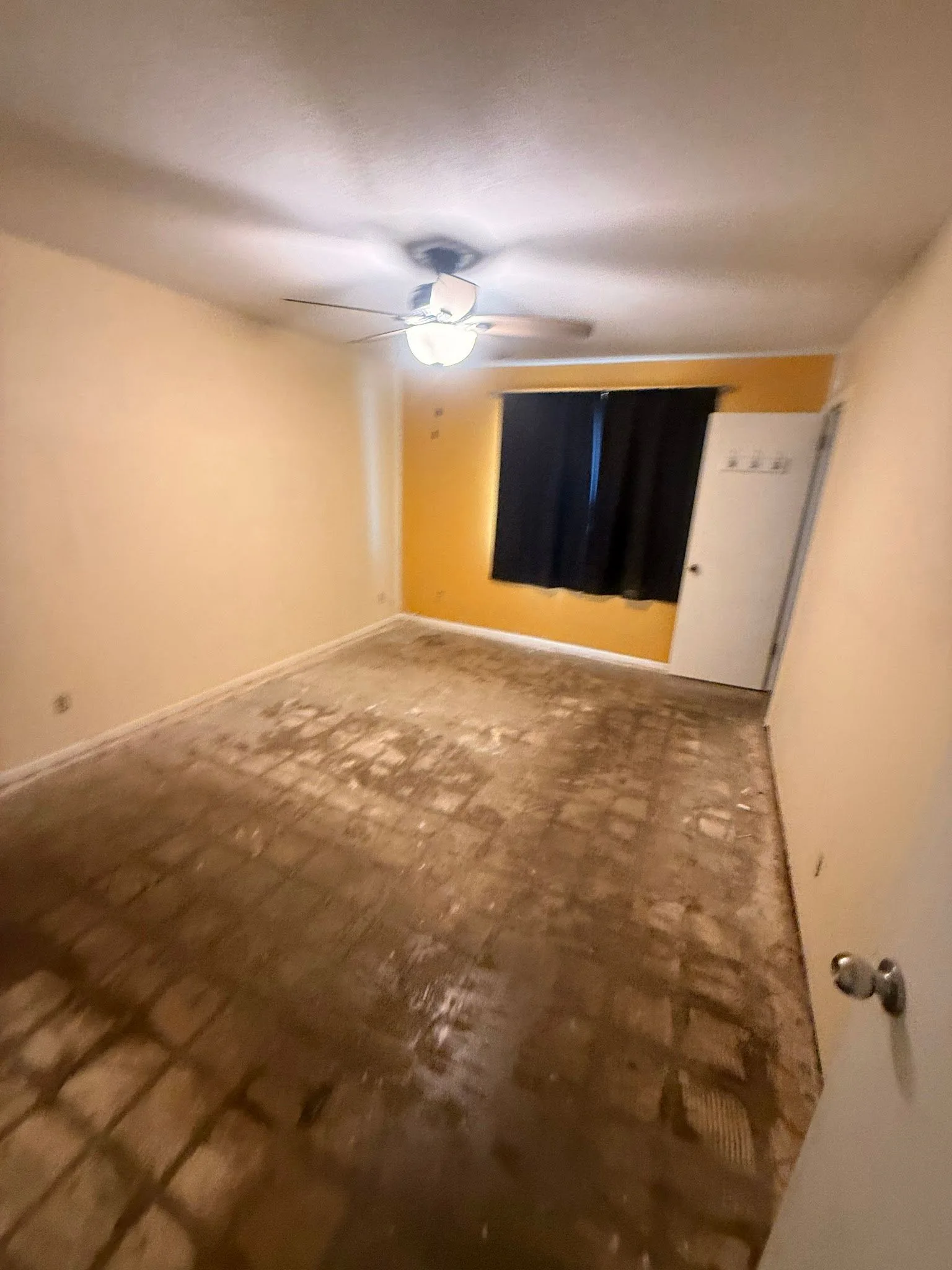 photo-19