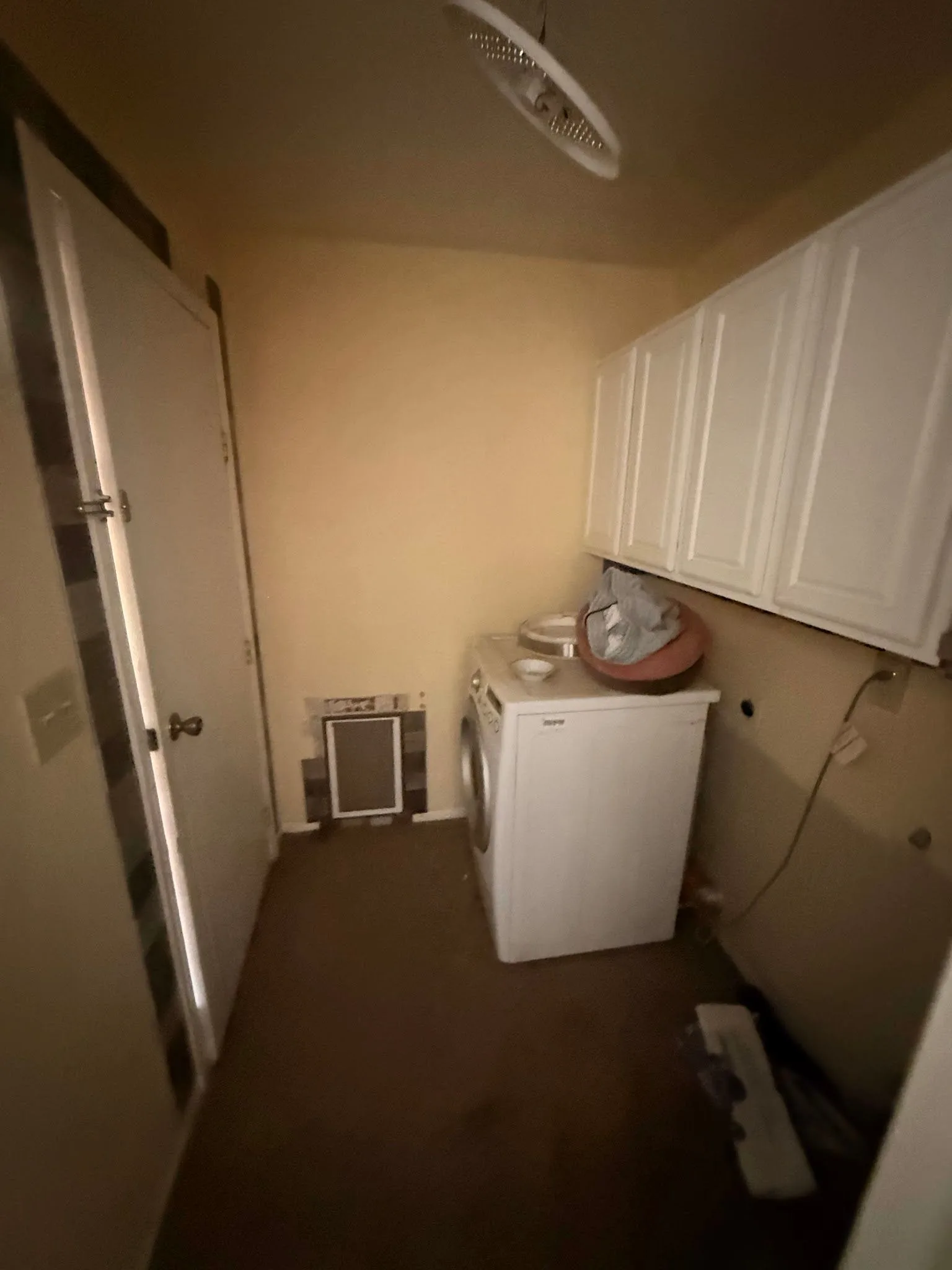 photo-05