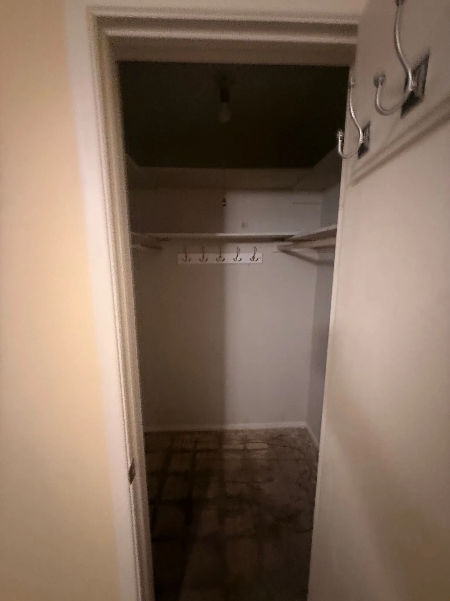 photo-20