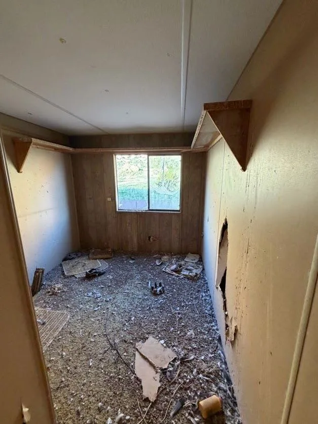 IMG_8274
