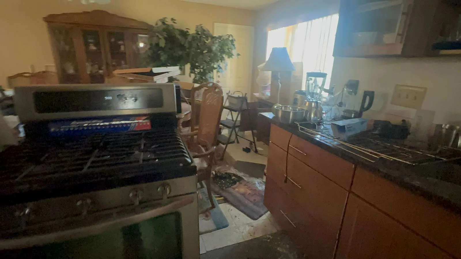 IMG_8826