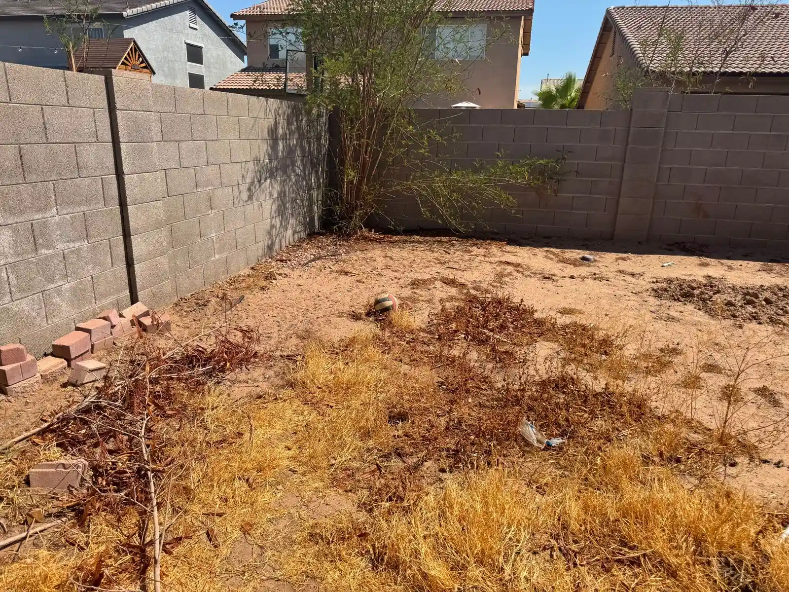 Photo 07-08-2026, 3 03 47 AM (1)