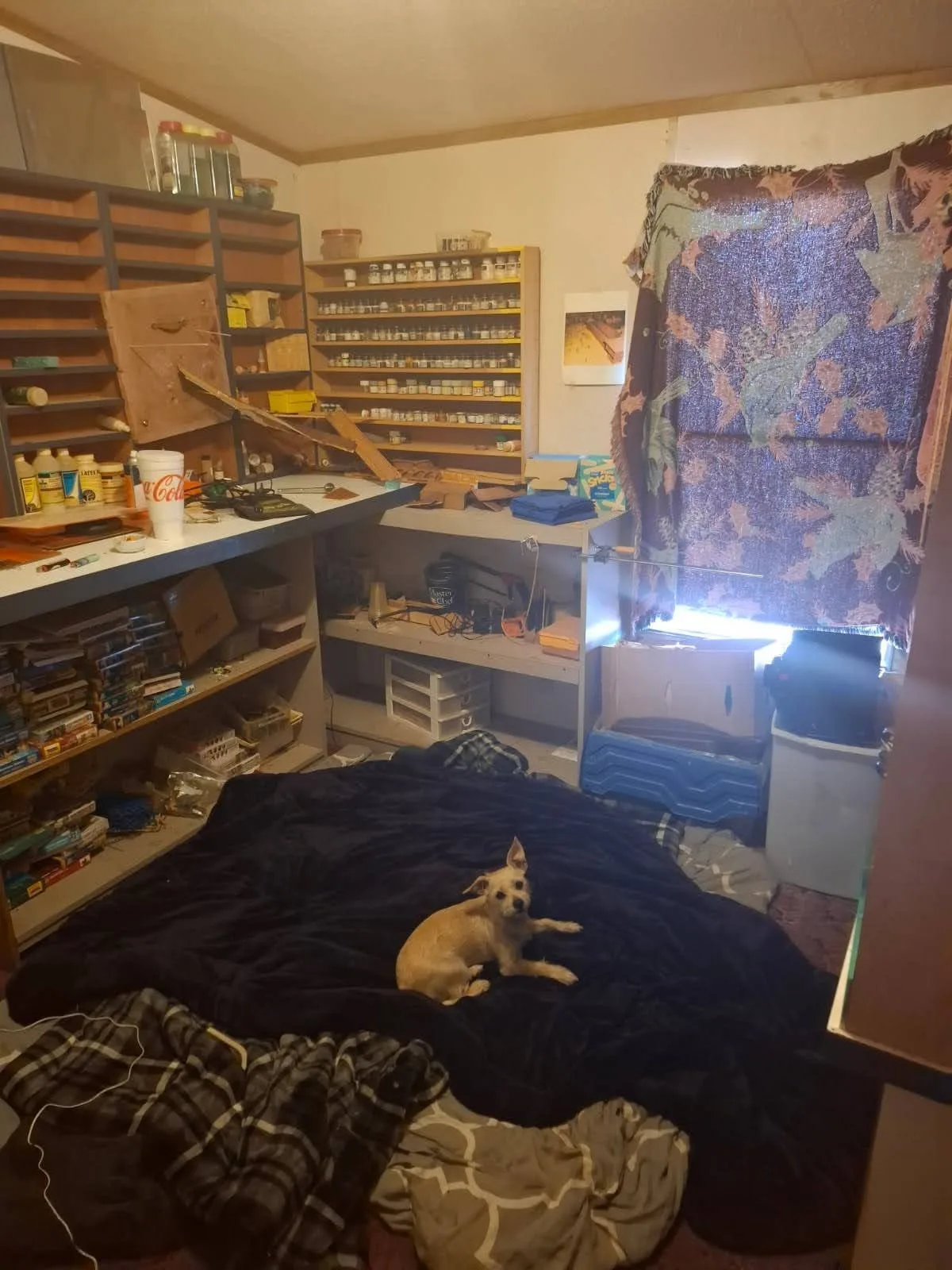 photo-15