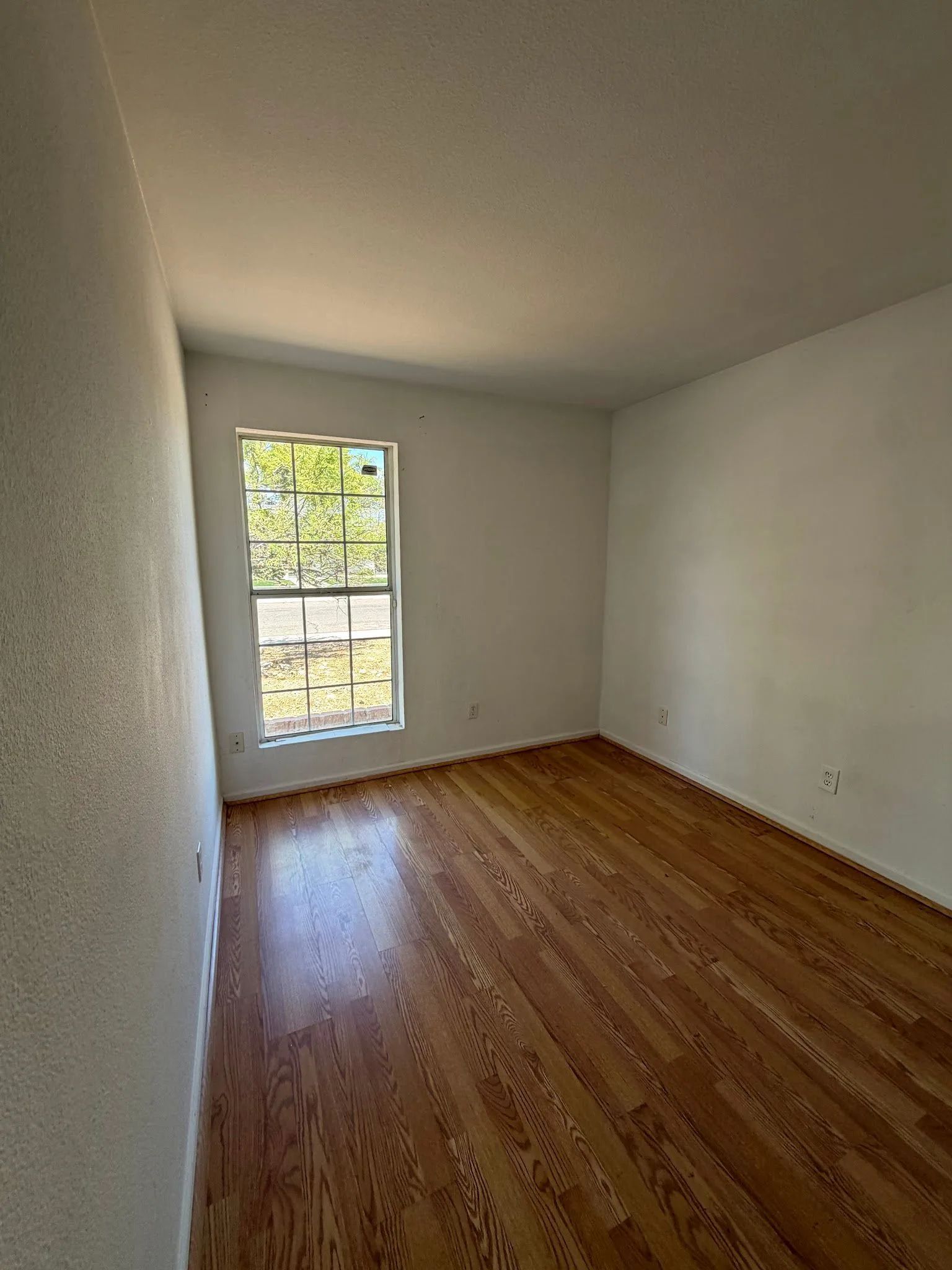 photo-11