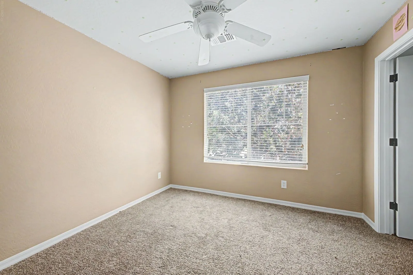 25 - Basswood