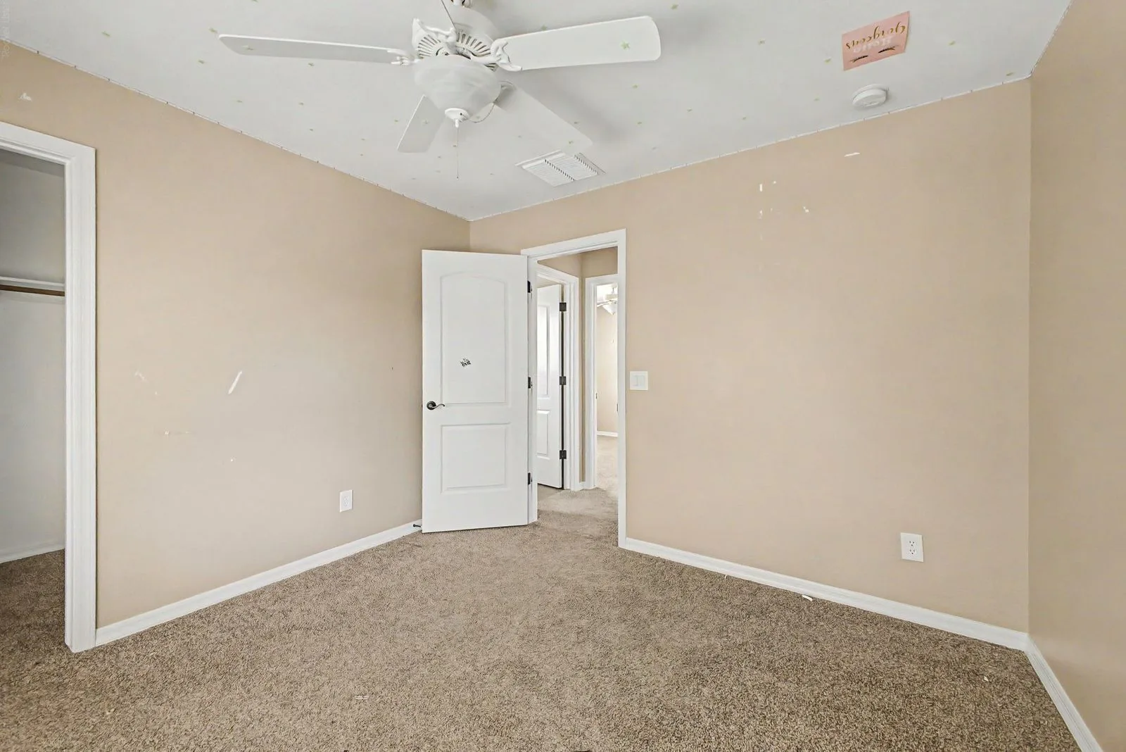 26 - Basswood