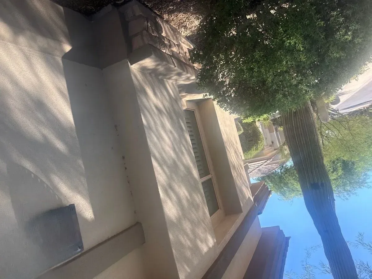 9155447