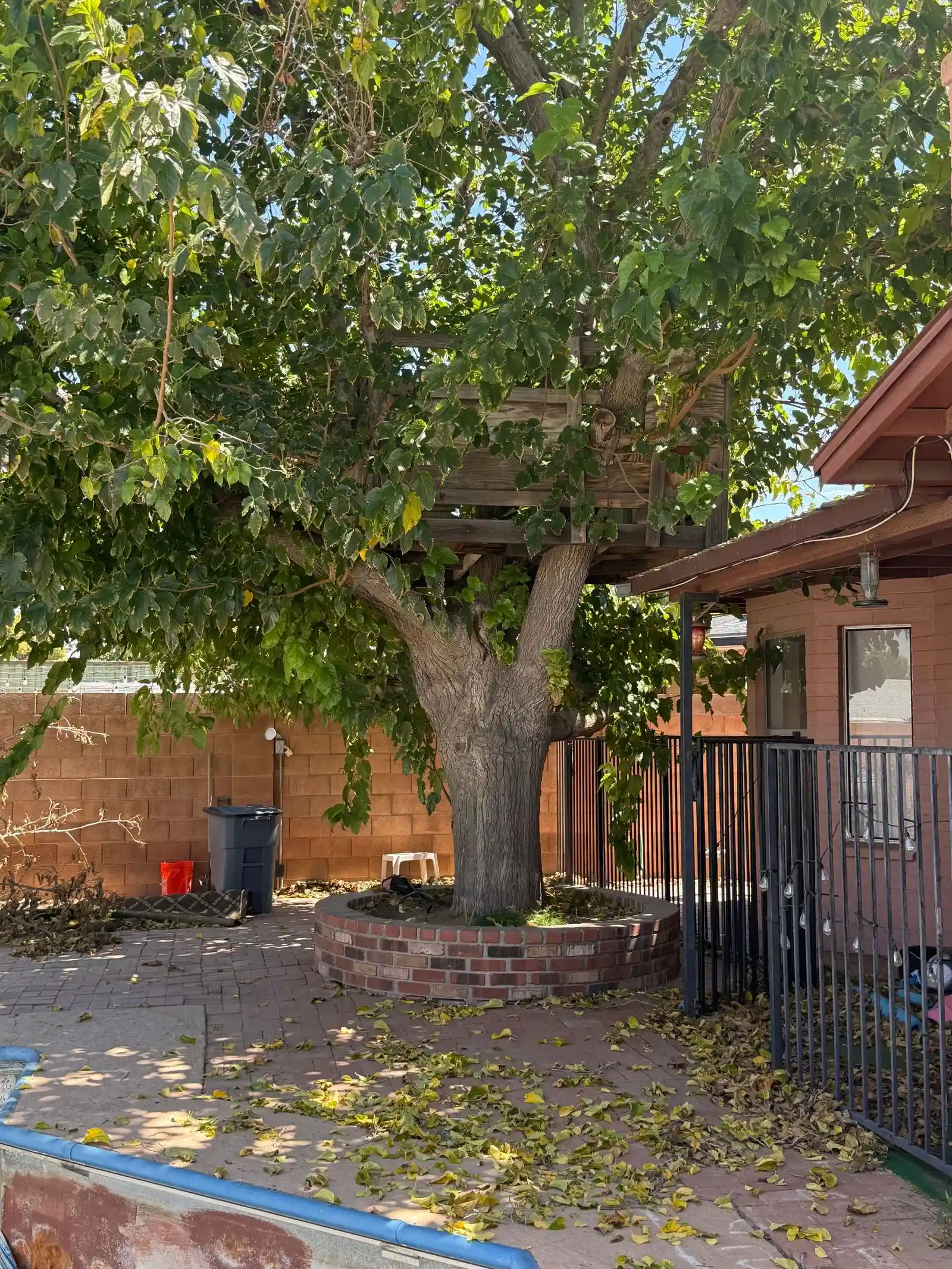 2232 E Everett Dr, phoenix Az 85022-5