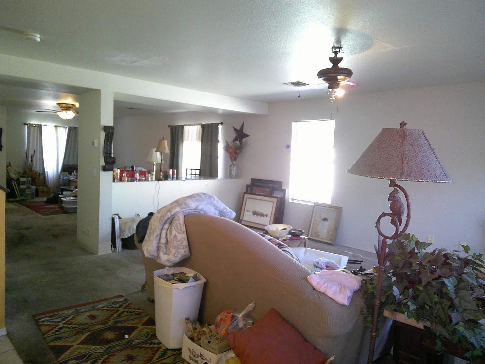DSCF0876
