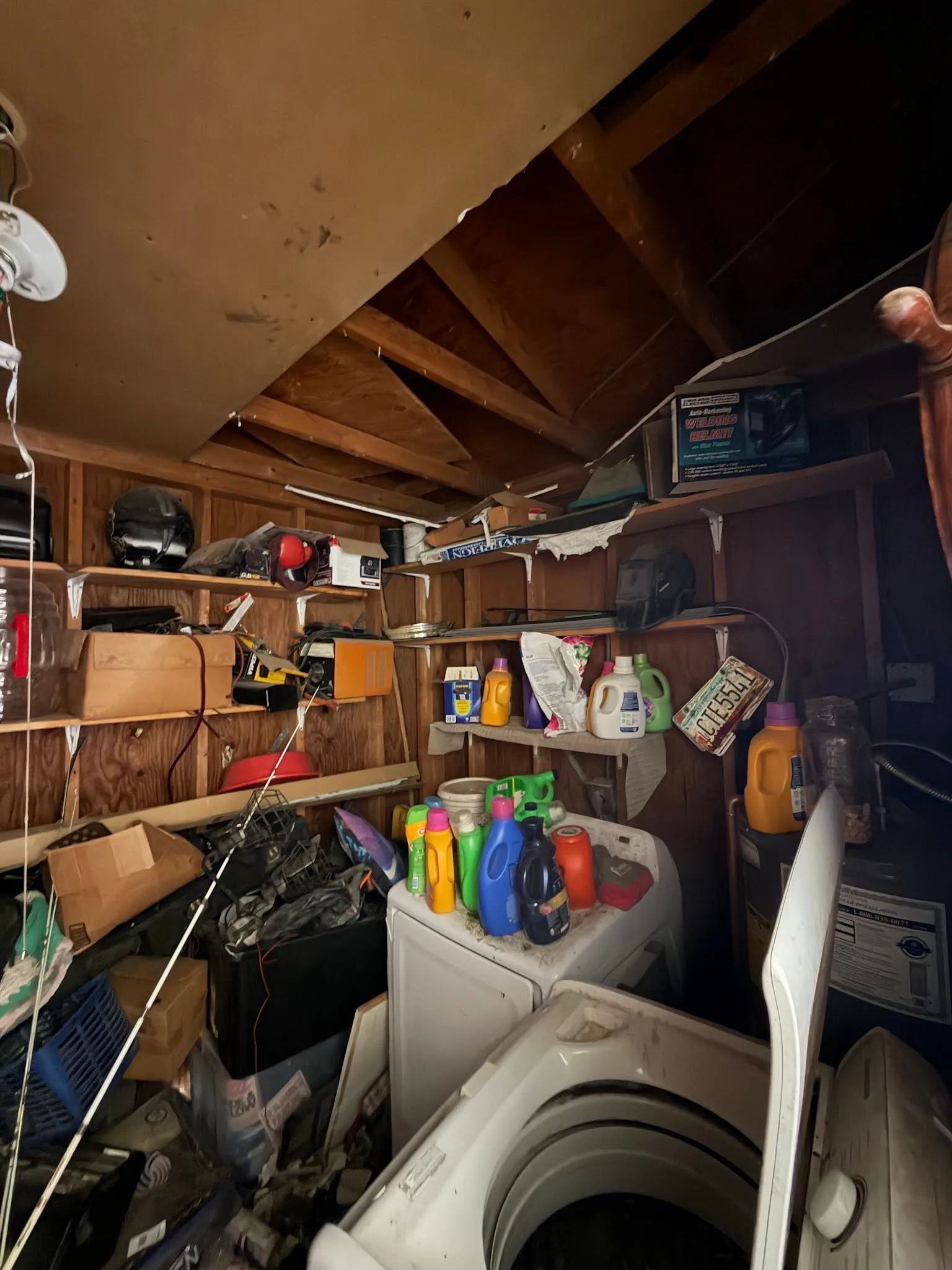 photo-12
