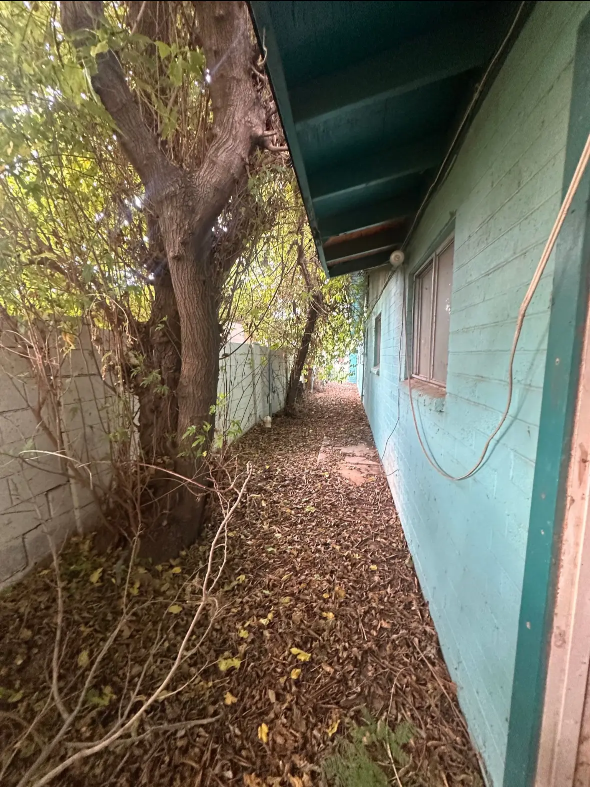 IMG_2132 — 949 W 9th St, Mesa, AZ 85201