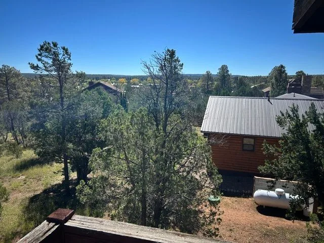 IMG_7225 — 2755 Kittyhawk Ln, Heber-Overgaard, AZ 85933