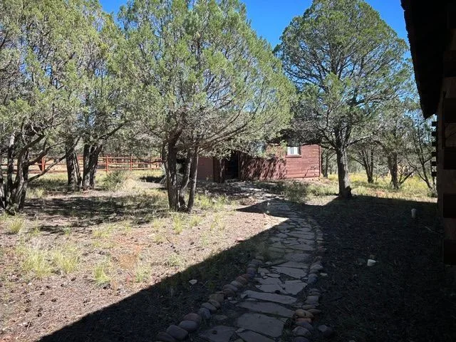IMG_7231 — 2755 Kittyhawk Ln, Heber-Overgaard, AZ 85933