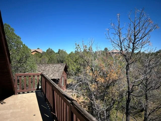 IMG_7226 — 2755 Kittyhawk Ln, Heber-Overgaard, AZ 85933