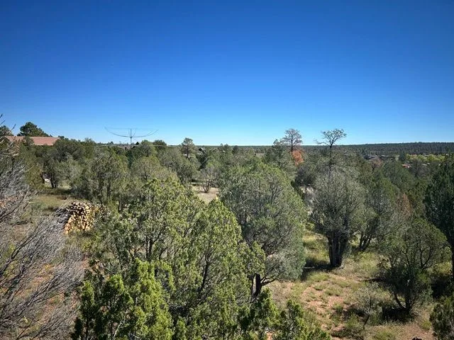IMG_7227 — 2755 Kittyhawk Ln, Heber-Overgaard, AZ 85933