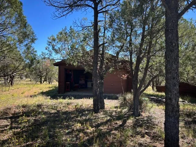 IMG_7232 — 2755 Kittyhawk Ln, Heber-Overgaard, AZ 85933
