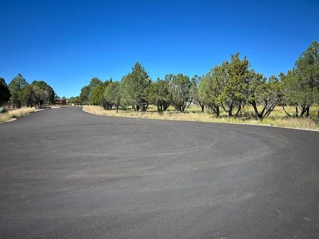 IMG_7233 — 2755 Kittyhawk Ln, Heber-Overgaard, AZ 85933