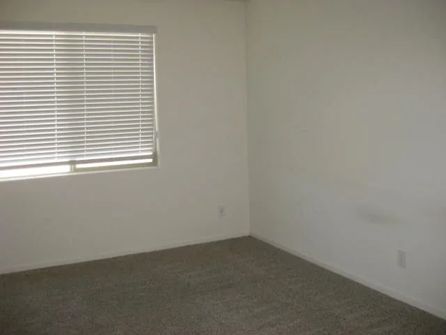 IMG_0077 — 10440 W Robertson St, Marana, AZ 85653