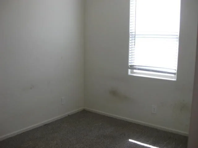 IMG_0061 — 10440 W Robertson St, Marana, AZ 85653