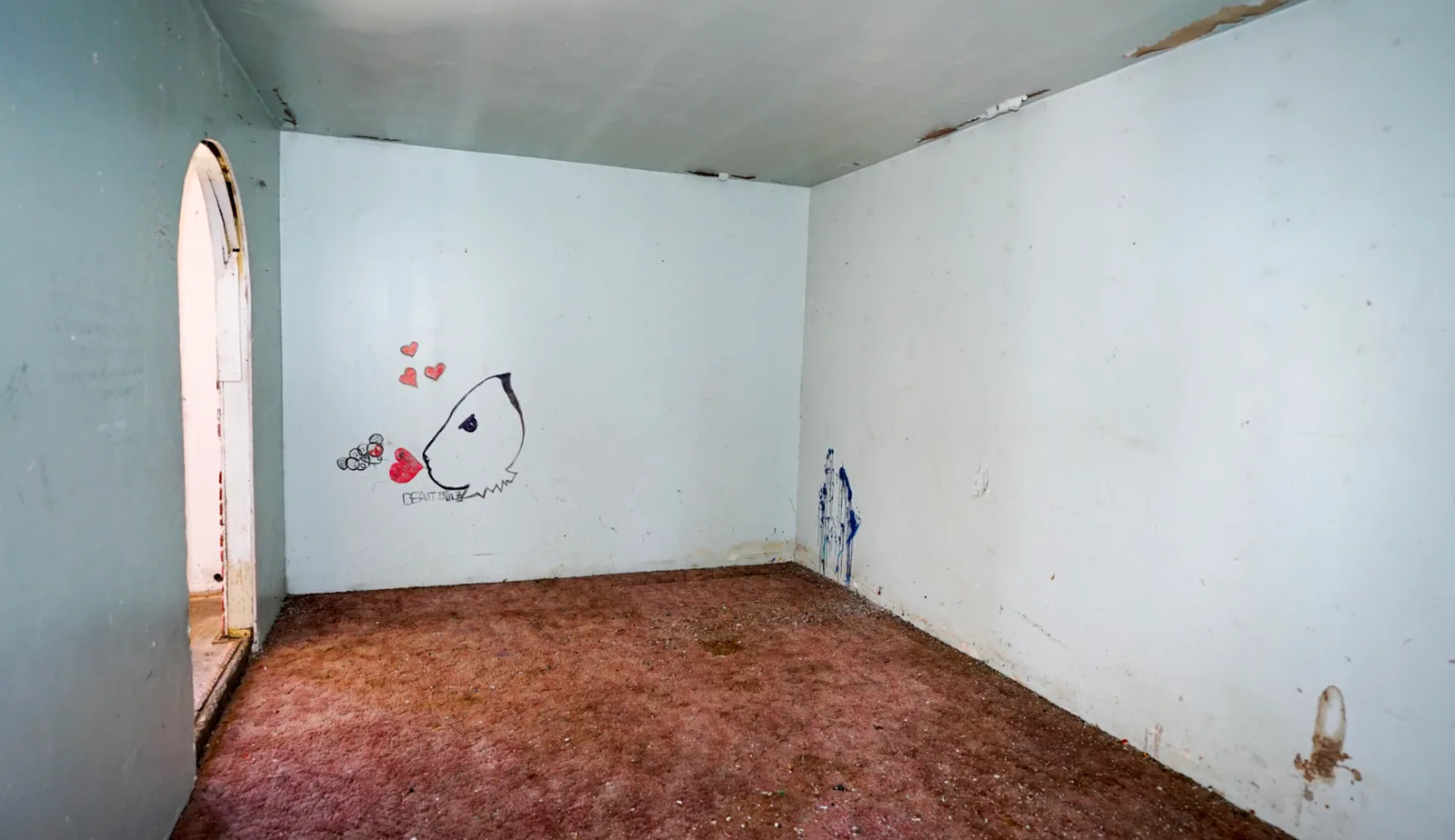 photo-15