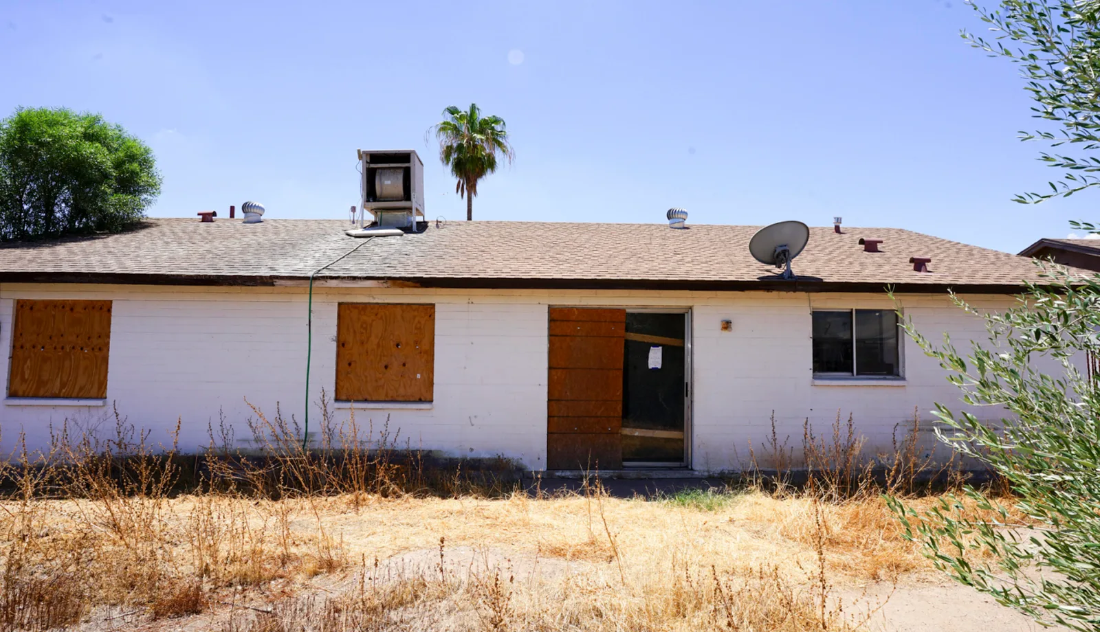 photo-01