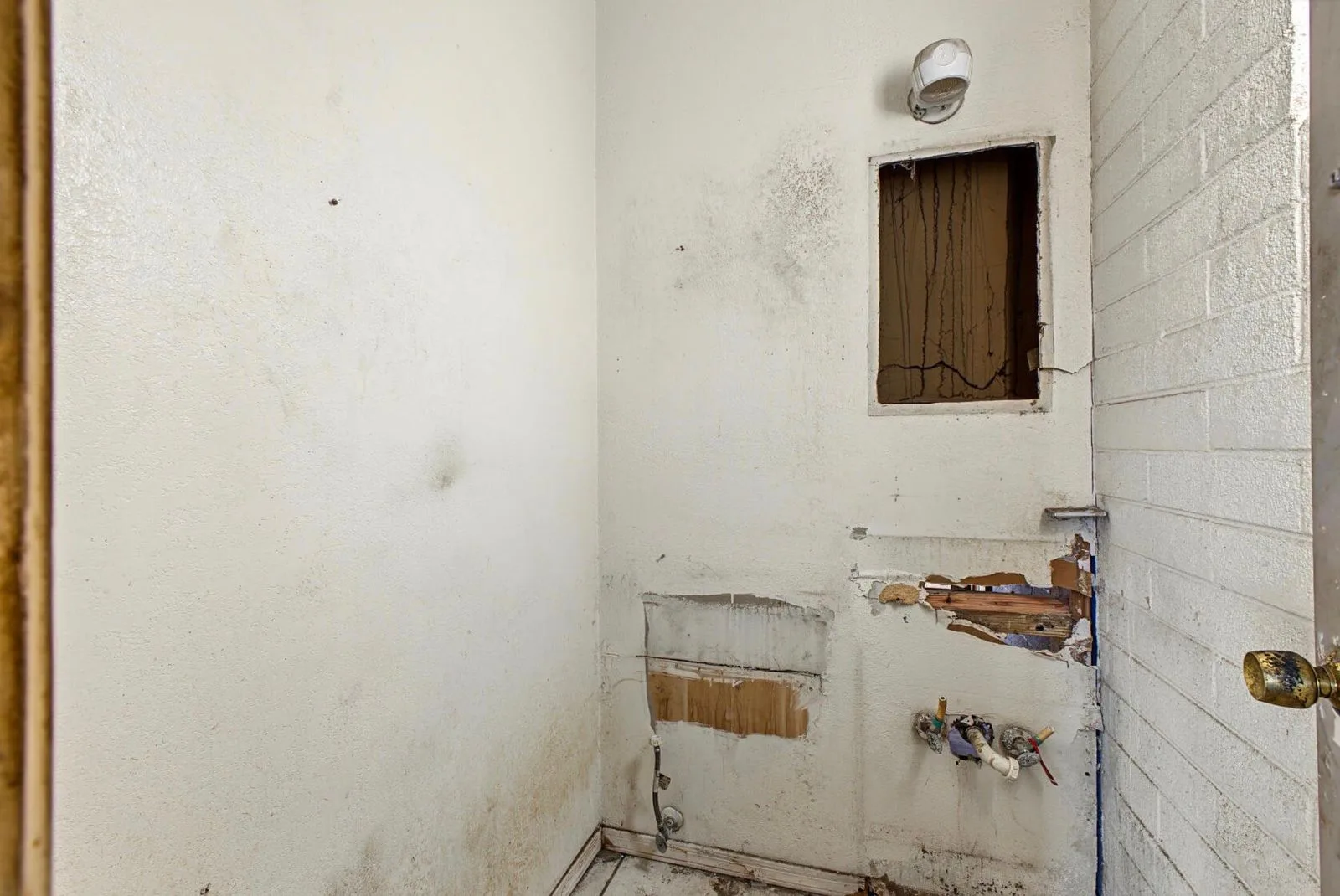 photo-19