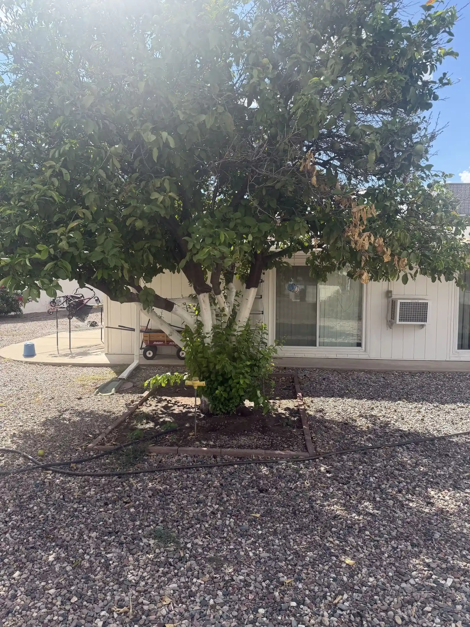 11615-n-105th-ave-sun-city-az-85351-25