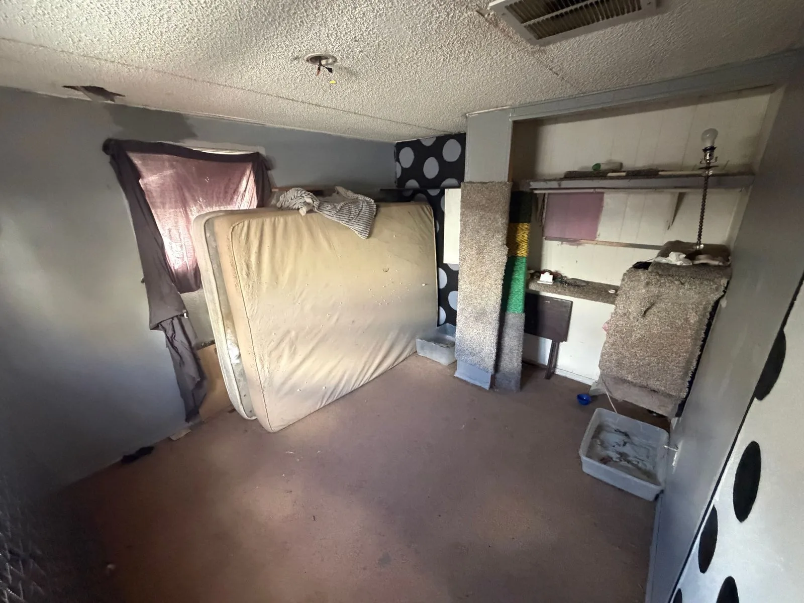 photo_1789756903_12