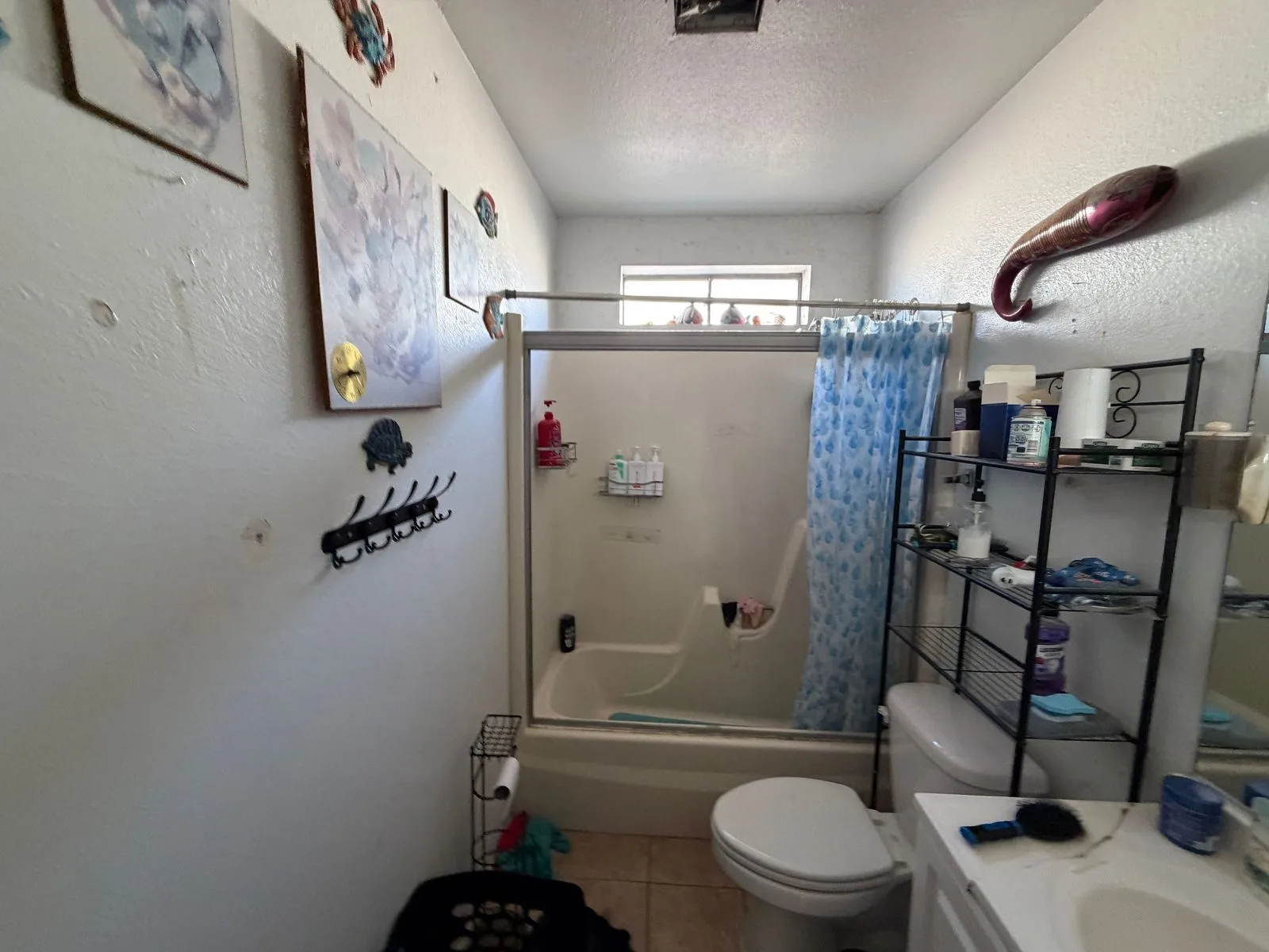 Photo Oct 19 2026, 3 08 23 PM — 703 N 1st St, Avondale, AZ 85323