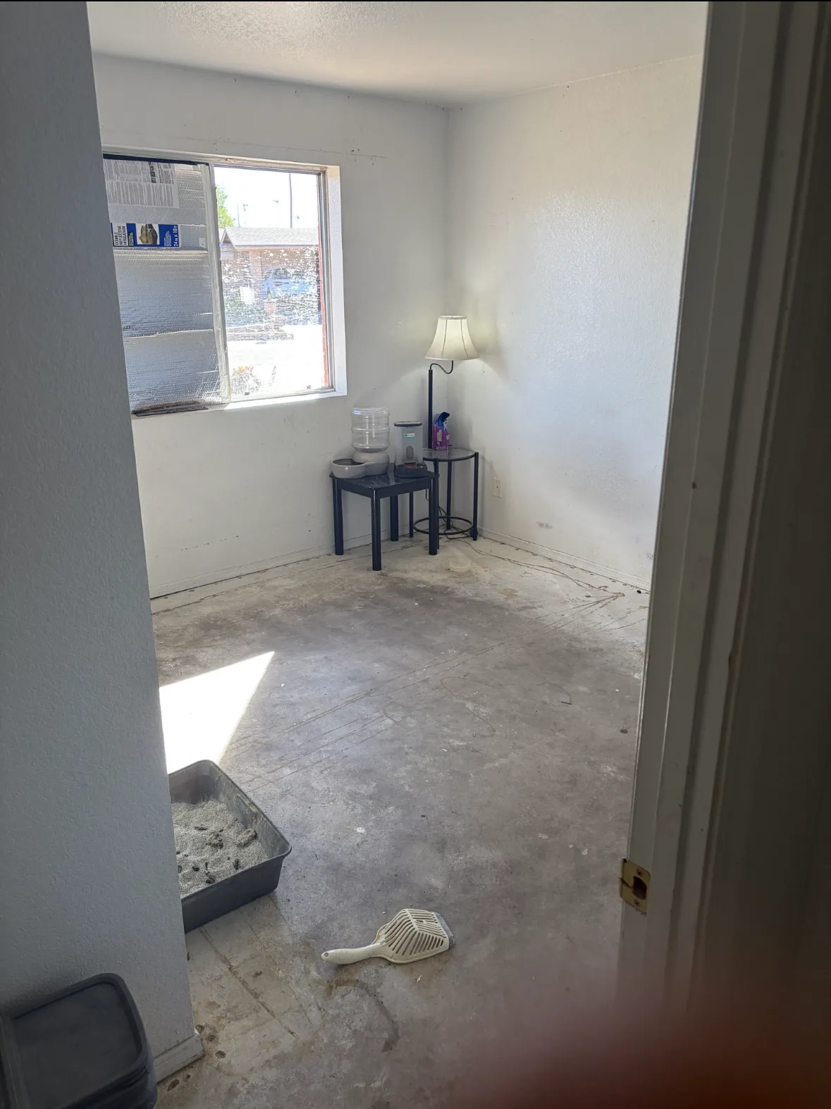 IMG_3269 — 12446 N Columbine Dr, Phoenix, AZ 85029
