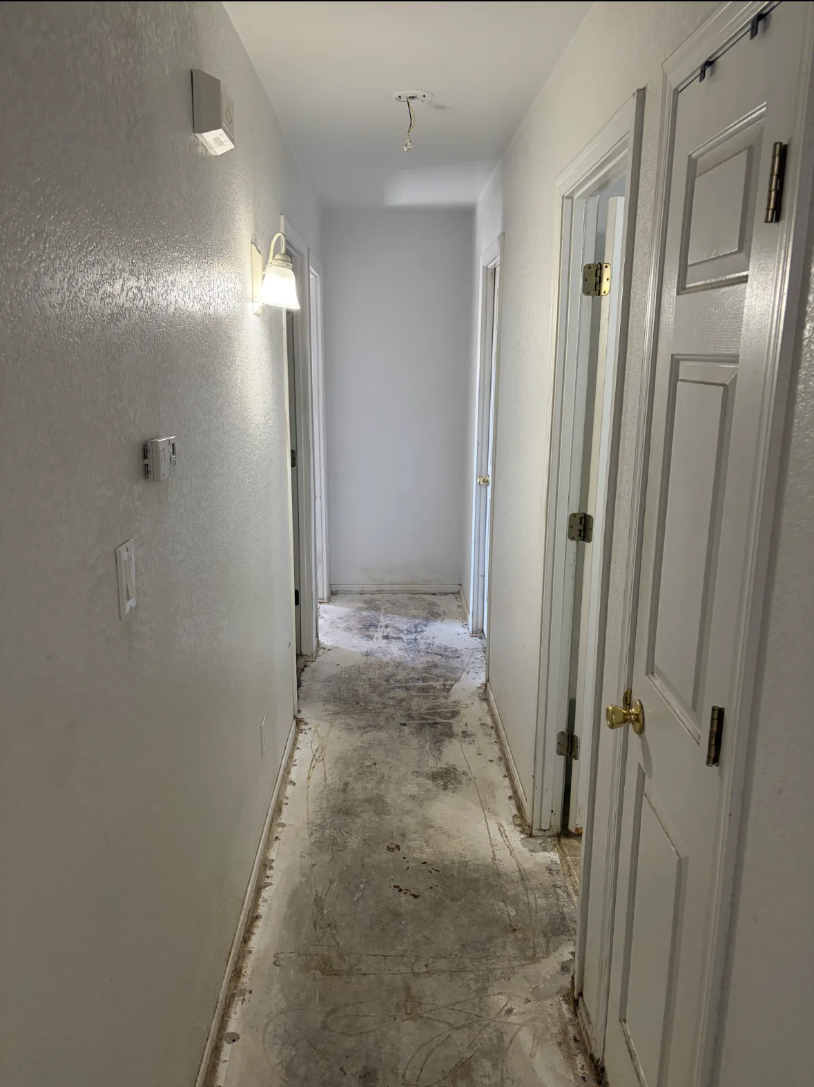 IMG_3267 — 12446 N Columbine Dr, Phoenix, AZ 85029