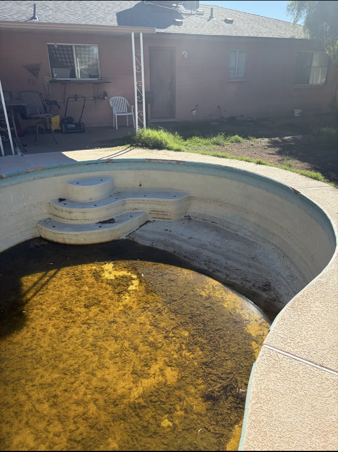IMG_3282 — 12446 N Columbine Dr, Phoenix, AZ 85029
