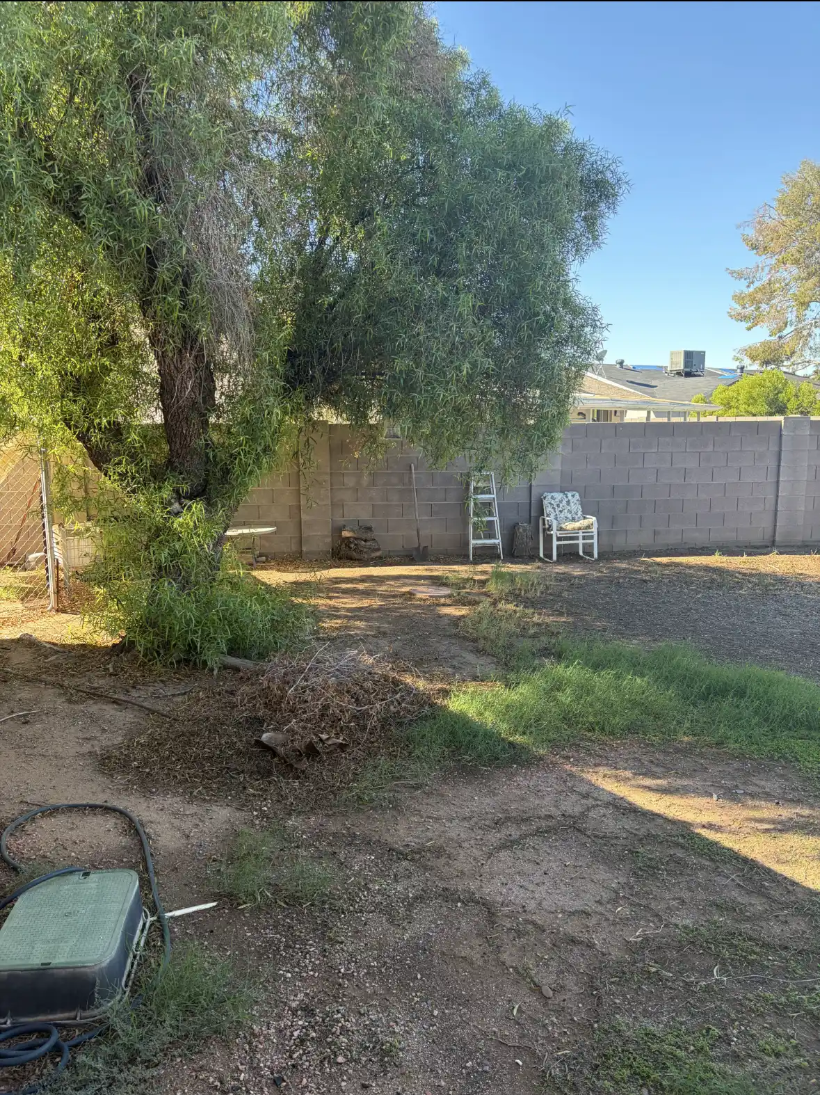 IMG_3275 — 12446 N Columbine Dr, Phoenix, AZ 85029