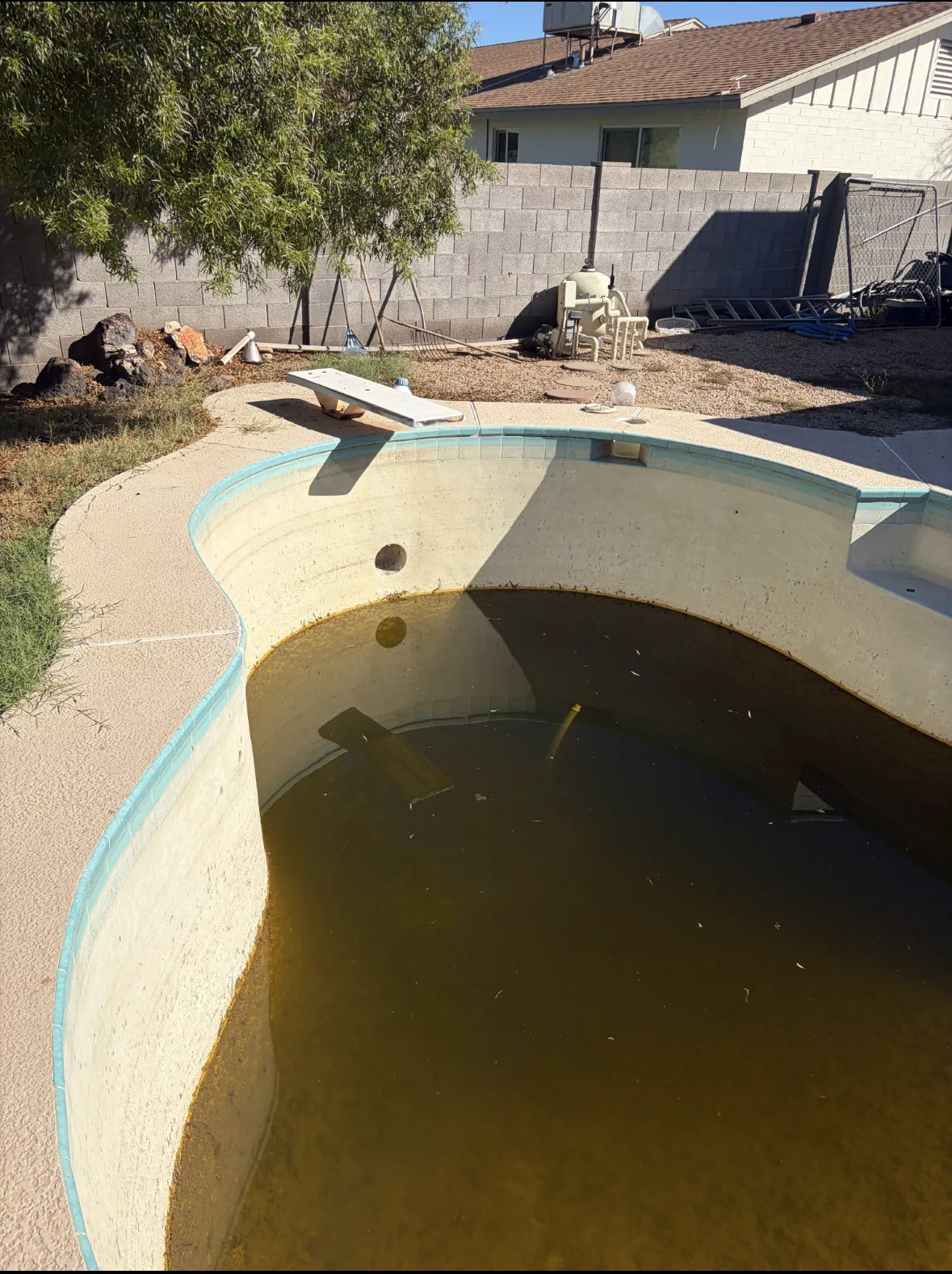 IMG_3281 — 12446 N Columbine Dr, Phoenix, AZ 85029