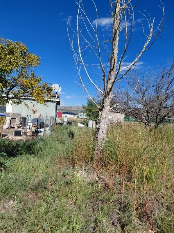 5 — 250 W Quail Rd, Paulden, AZ 86334